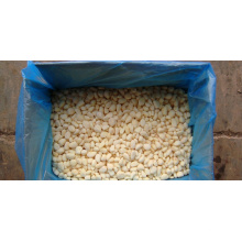 IQF frozen garlic price in China wholesale garlic